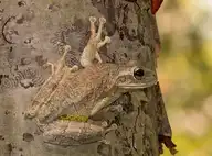 100248