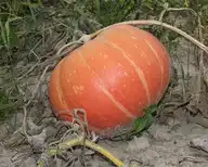 100303