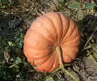 100309