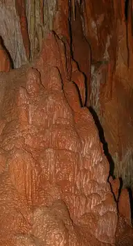 100376