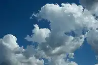 100481