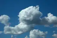 100492