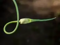 10055