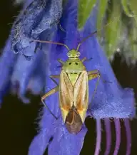 1005