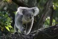 10062