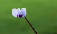 100765