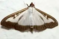 100824