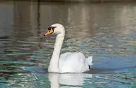 100825