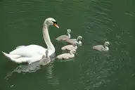 100834