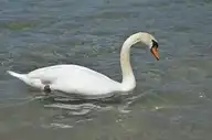 100840