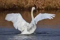 100845