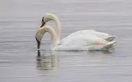 100854