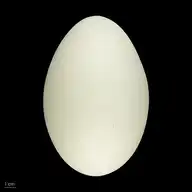 100867