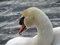100876