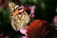 100940