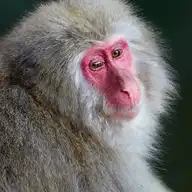 10105