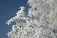 101132