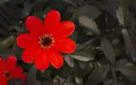 101389