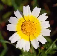 101478