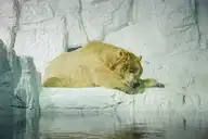 101578