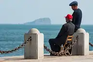 101591