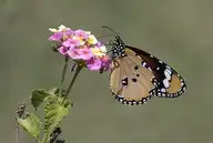 101762