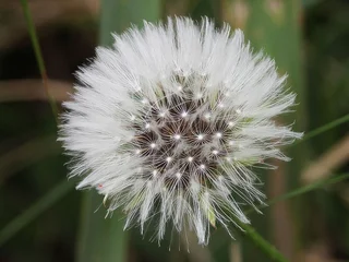 small