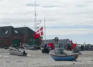 101831