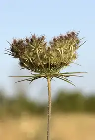 102173