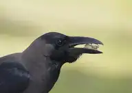 1023