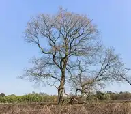102687