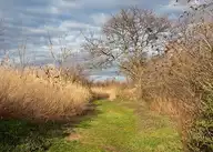 102736
