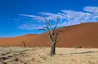 102778