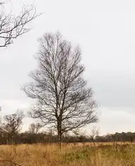 103130