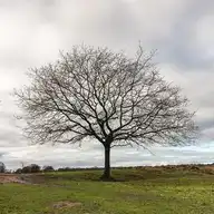 103235