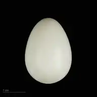 103566