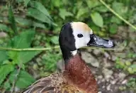 103578