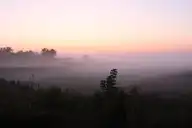103817