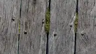 104007