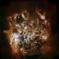 10427