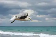 10438