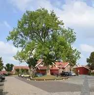 105351