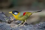 10540