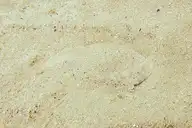 10551