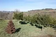 105661