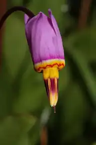 105754