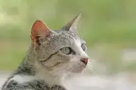 106179