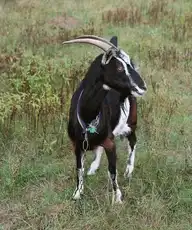 106189