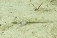 107196