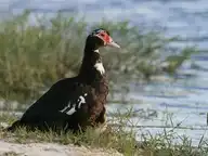 107943